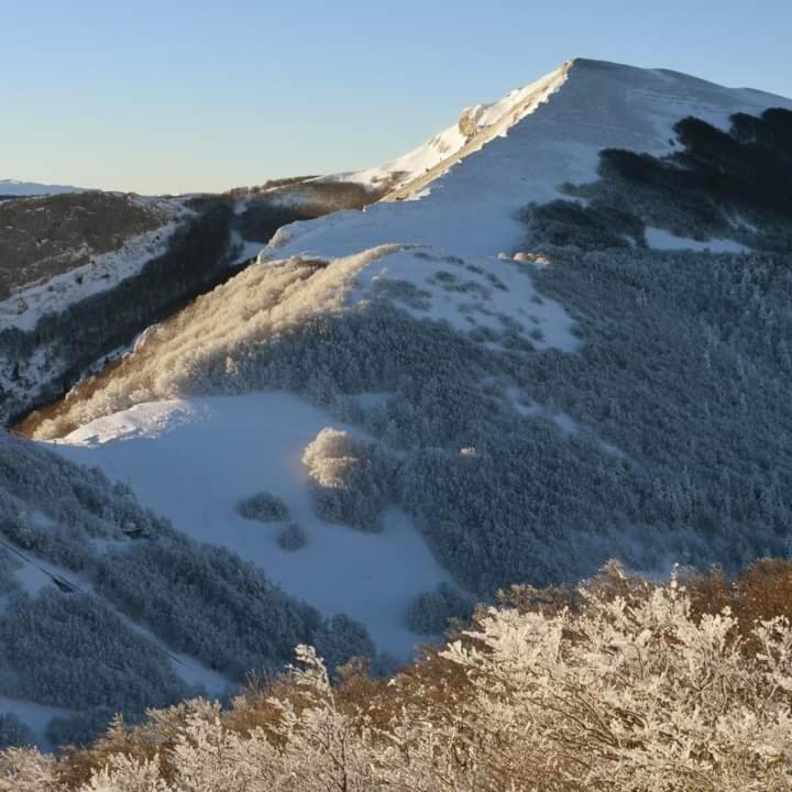 Villard De Lans Εξωτερικό φωτογραφία