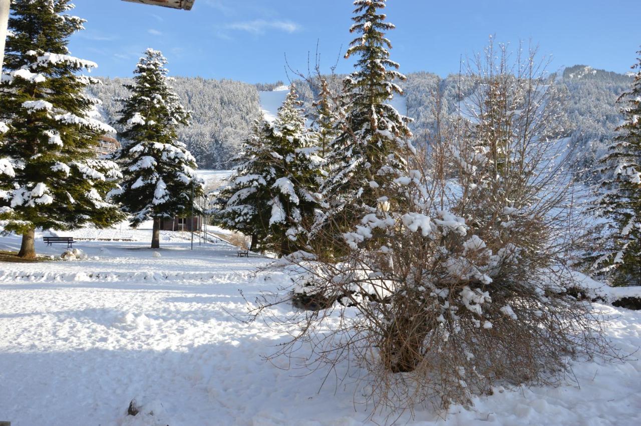 Villard De Lans Εξωτερικό φωτογραφία