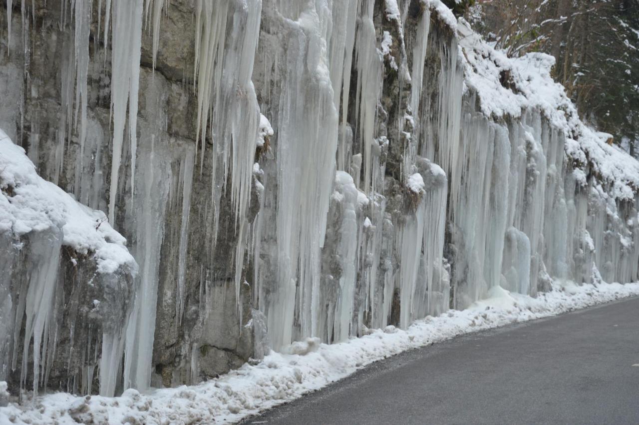 Villard De Lans Εξωτερικό φωτογραφία